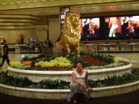 Las Vegas u zlatého lva 