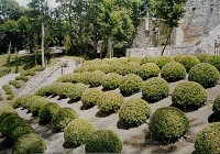 Amboise zahrada zámku