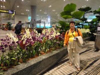 Singapore nádherná květinová výzdoba