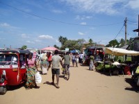 Negombo trh - ryby, ovoce, zelenina