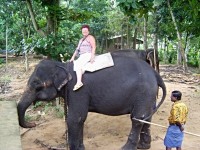 Pinnawala projížďka na slonu