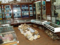 Galle muzeum sbírka šperků