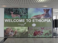 Addis Ababa Etiopie vás vítá
