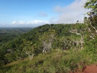 Shimba Hills na jedné z vyhlídek