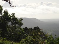 Shimba Hills krásná krajina