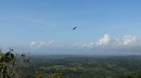 Shimba Hills panorama