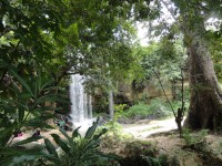 Sheldrick Falls vodopád