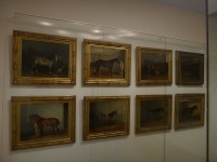 Schönbrunn Wagenburg obrazová galerie koní