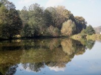 Dolní Marklovice - Petrovice rybník