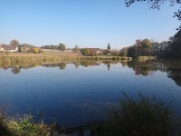 Petrovice rybník