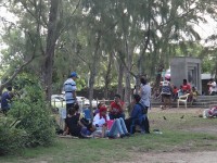 piknik v parku 