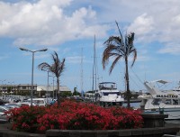 přístav v Port Louis