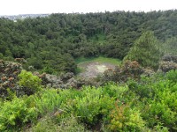 zalesnění okolí kráteru