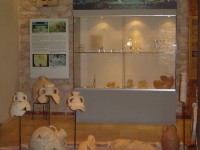 Butrint muzeum