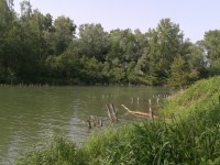 Šunychl jezero Kališok