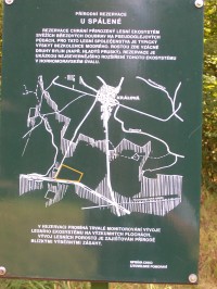 info o přírodní rezervaci - U Spálené - nachází se u posedu křižovatky cykloturistických tras č. 6026 a č. 6051