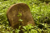 židovský hřbitov Vrbno nad Lesy