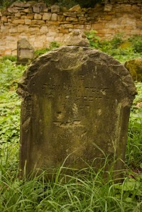 židovský hřbitov Vrbno nad Lesy
