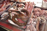 Rybí trhy Marsaxlokk