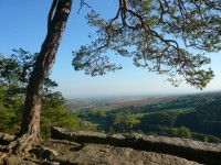 Z Břestecké skály