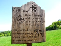 Čtvrté zastavení - hmyz