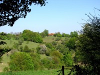 Jaroslavické Paseky