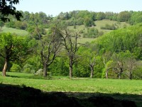 Tady už moc velká úroda nebude