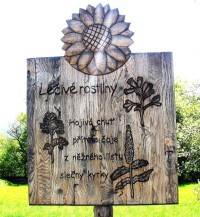 Šesté zastavení - léčivé rostliny