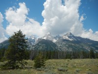 NP Grand Teton