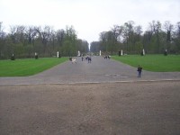 Park: Mezi Sanssouci a Novým palácem - hlavní alej