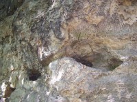 Dutý kámen: Pískovec je na mnoha místech vykotlán větším či menšími dutinami, jež také daly lokalitě její název.
