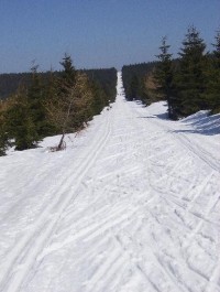 V zimě: V okolí Orle, Jakuszyc a Szklarske Poreby jsou desítky kilometrů denně udržovaných lyžařských běžeckých stop. Do stopy vstoupíme snadno - vystoupíme z vláčku v Harrachově, přejdeme asi 500 m na hranici s Polskem a můžeme lyžovat do úplného ul