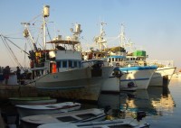 Rybářské lodě v přístavu