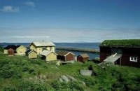 Norské souostroví Vega aneb kde se lidé živí sběrem peří