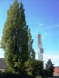 strom a veža kostola