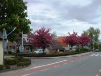 Holandsko - obec Vierpolders
