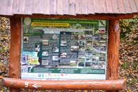 info panel