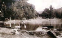 labute a jazero na Baračke