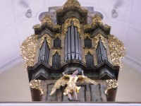 organ