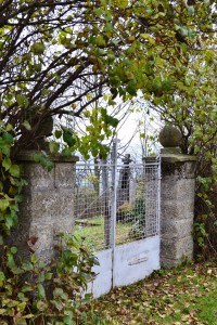 brána do starého cintorína