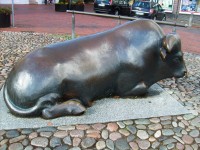 ležiací býk na Starom námestí
