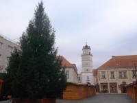vianočný stromček a veža