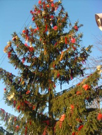 vianočný strom
