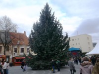 strom vianočný