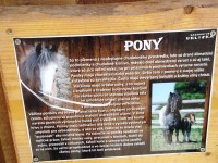 o pony
