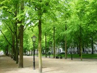 Lange Voorhout