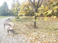 Bulharsko - Varna - jesenná prechádzka Primorským parkom