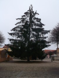 vianočný strom na námestí
