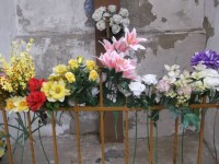 kvetiny u kríža