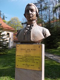 busta Ignáca von Borna